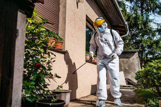Best Termite Control Services  in Pleasant Hill, TX