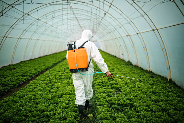 Best Affordable Pest Control Services  in Pleasant Hill, TX