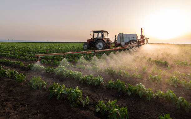 Insect Control in Pleasant Hill, TX