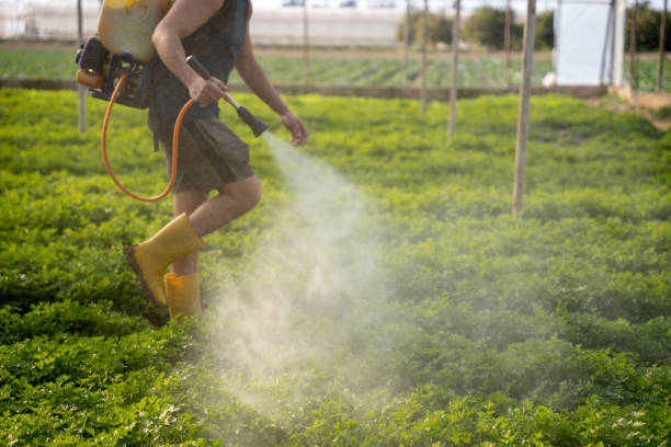  Pleasant Hill, TX Pest Control Pros
