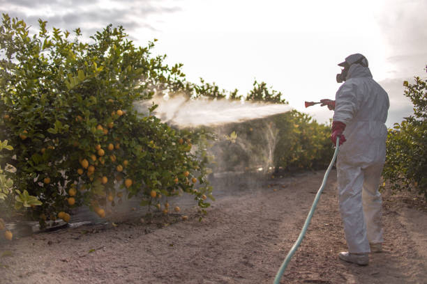 Best Bird Control  in Pleasant Hill, TX