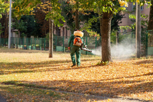 Best Affordable Pest Control Services  in Pleasant Hill, TX
