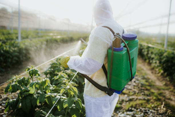 Best Flea Control Services  in Pleasant Hill, TX